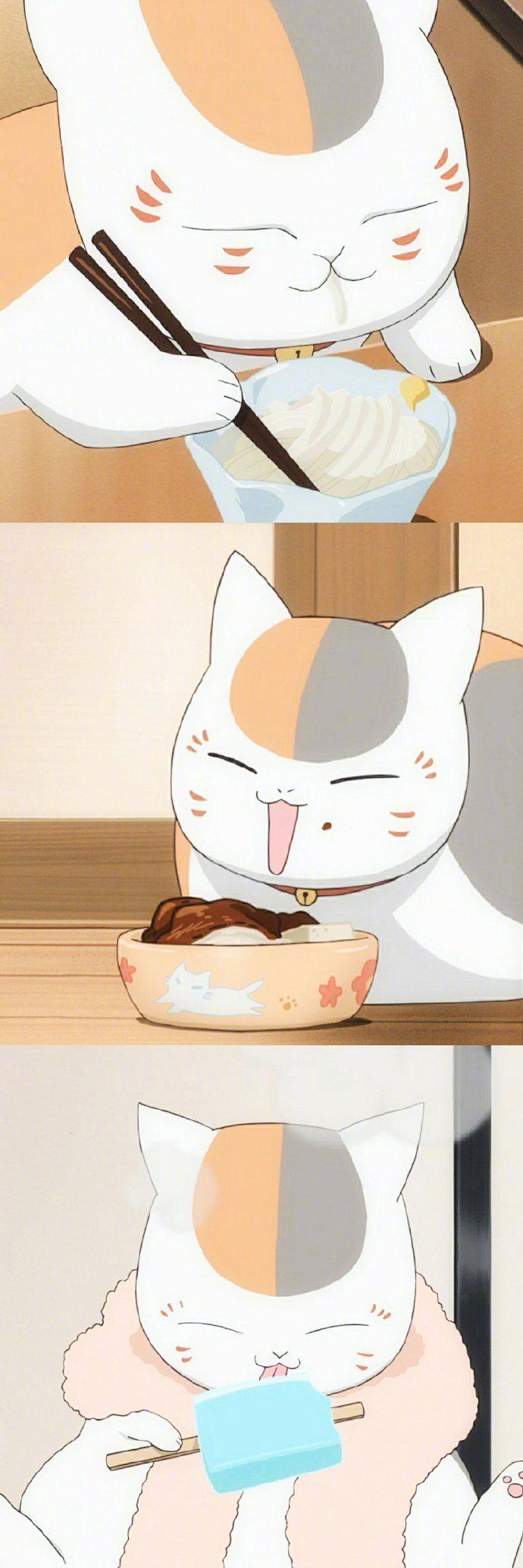 夏目友人帐里的娘口三三活捉一只贱萌贪吃的喵星人