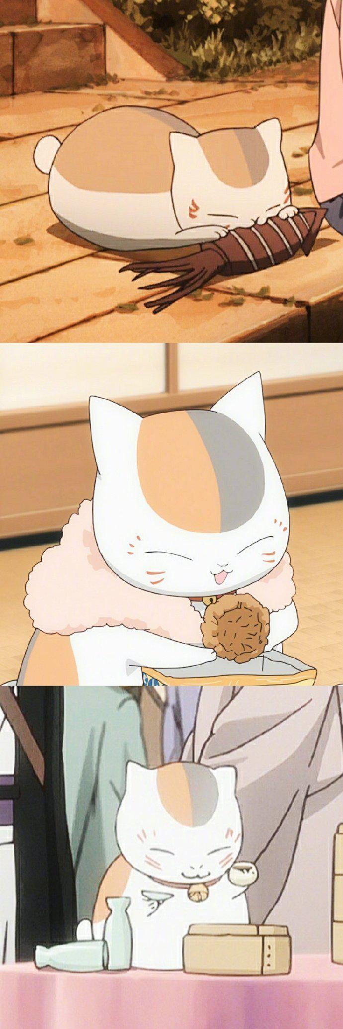 夏目友人帐里的娘口三三活捉一只贱萌贪吃的喵星人