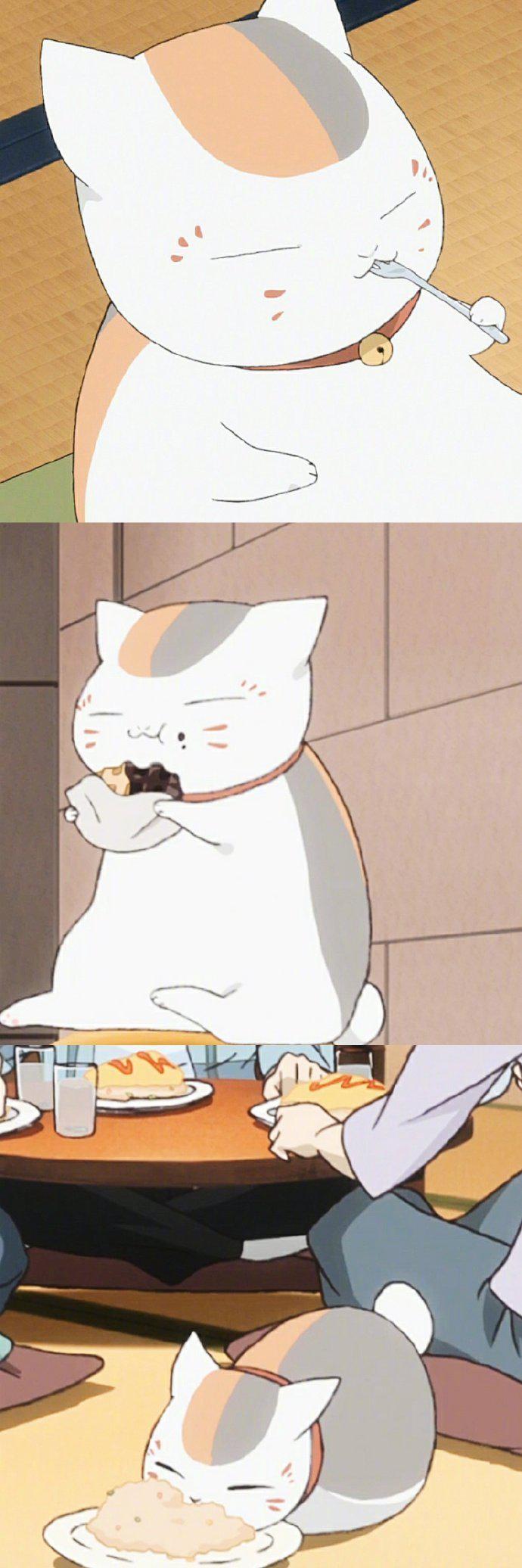 夏目友人帐里的娘口三三活捉一只贱萌贪吃的喵星人