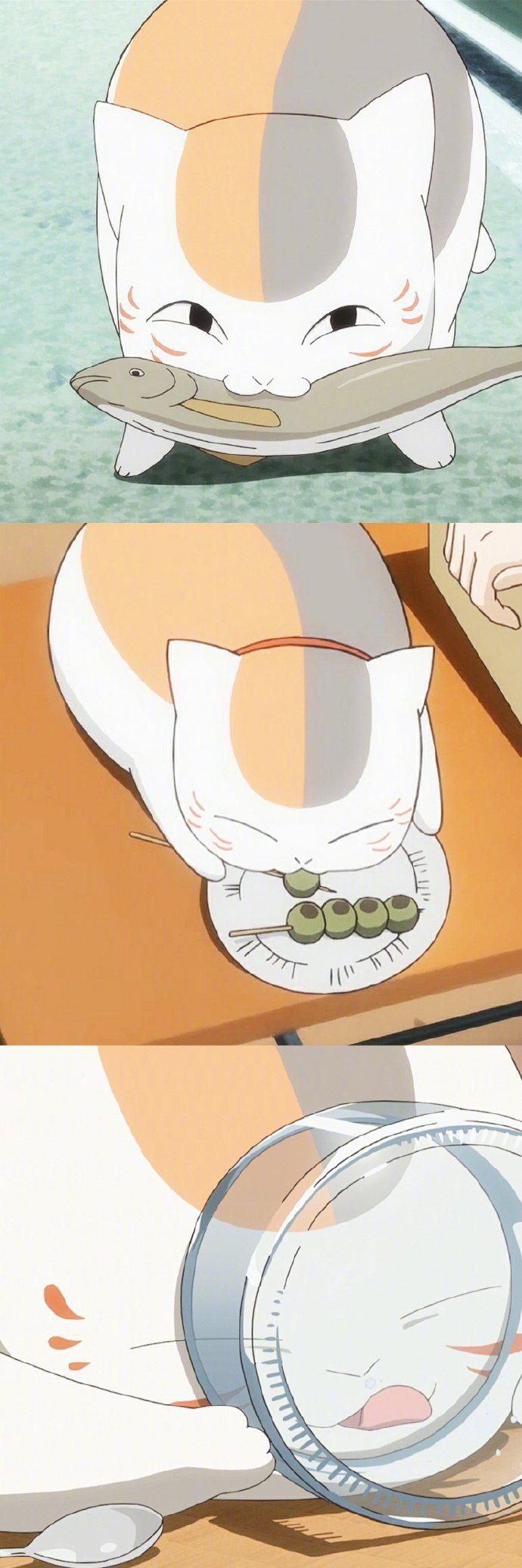 夏目友人帐里的娘口三三活捉一只贱萌贪吃的喵星人