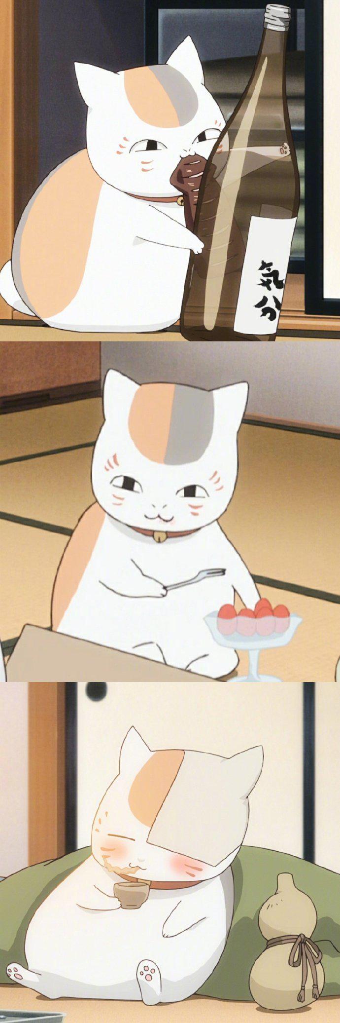 夏目友人帐里的娘口三三活捉一只贱萌贪吃的喵星人