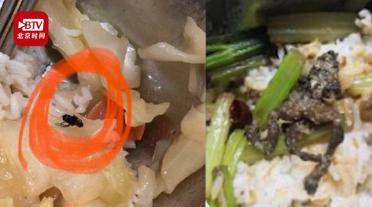 江西一高校食堂饭菜吃出苍蝇蝌蚪青蛙 校方:确有此事,该处罚处罚!