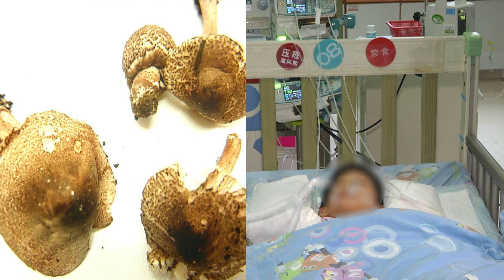 01:54 近几天,湖南省儿童医院连续收治两起因为服用毒蘑菇中毒的儿童