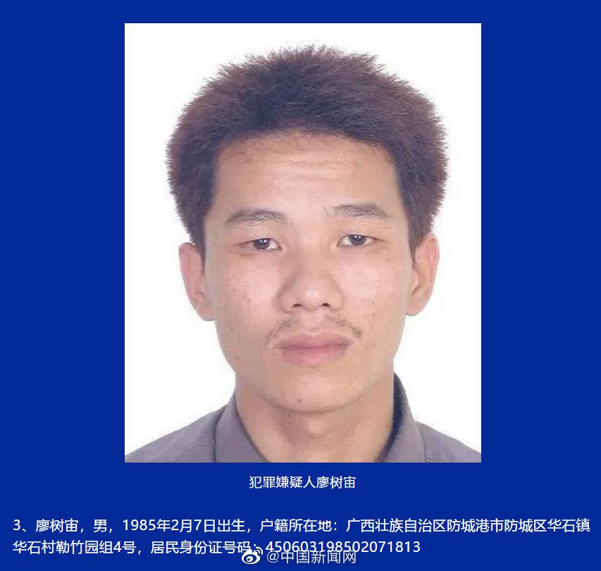 最高悬赏20万元,广西悬赏通缉10名涉黑涉恶在逃人员