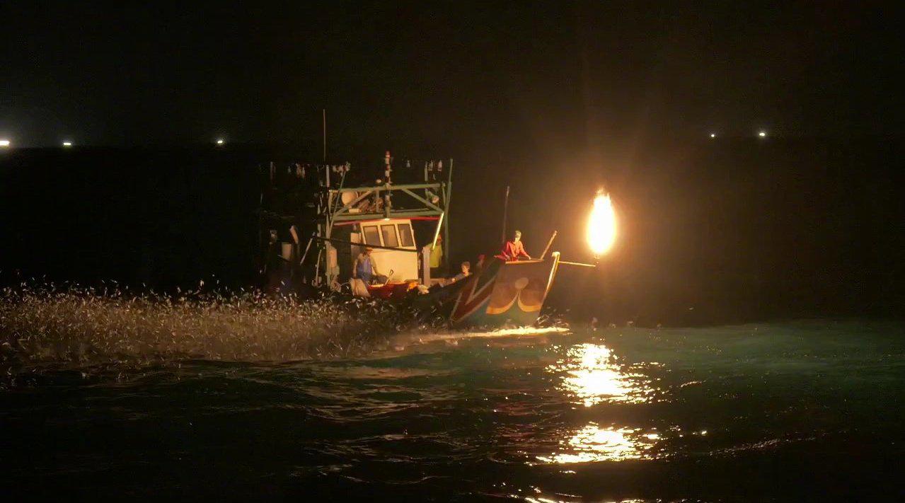 魔幻般的台湾灯光捕鱼 mesmerising fire fishing in taiwan
