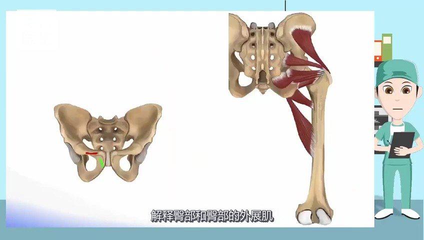 心射血分数正常