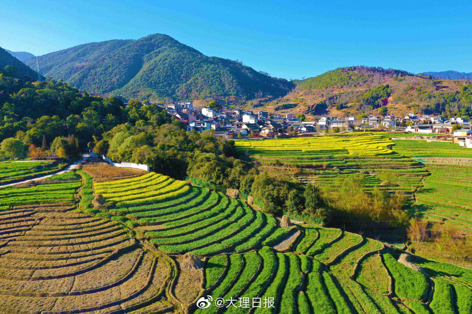 永平龙门乡打卡锦绣梯田相约万亩茶园