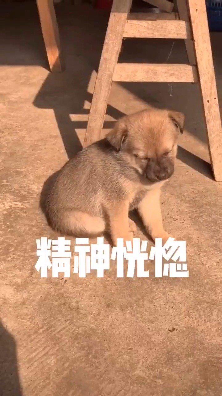 巴西世界杯逆转委内瑞拉 委内瑞拉在哪个地方