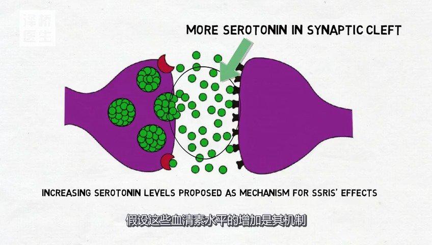 选择性血清素再摄取抑制剂(ssris)择性血清素再摄取抑制剂即ssri