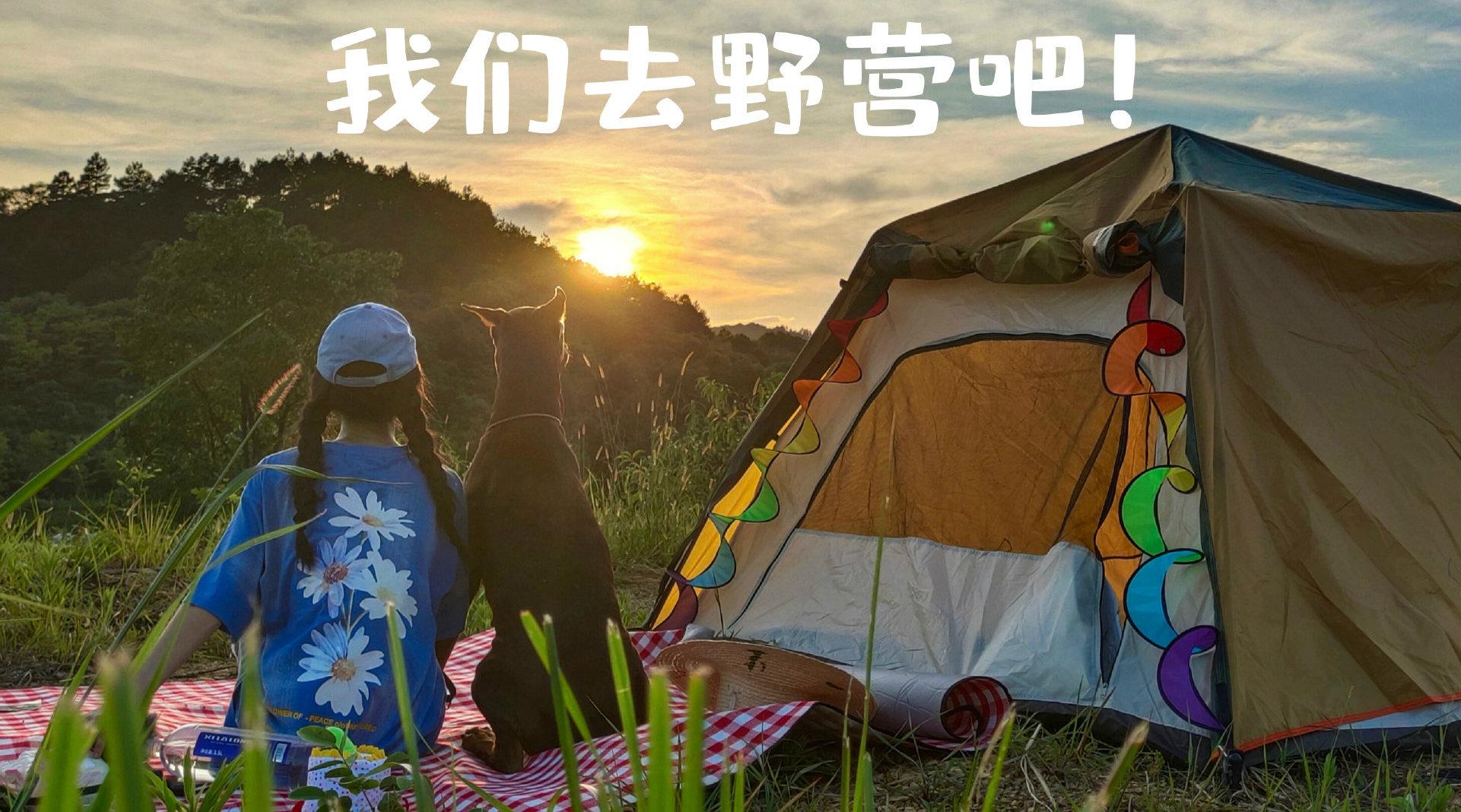 「rae的短片集」 《一人一狗一帐篷:我们去野营吧!