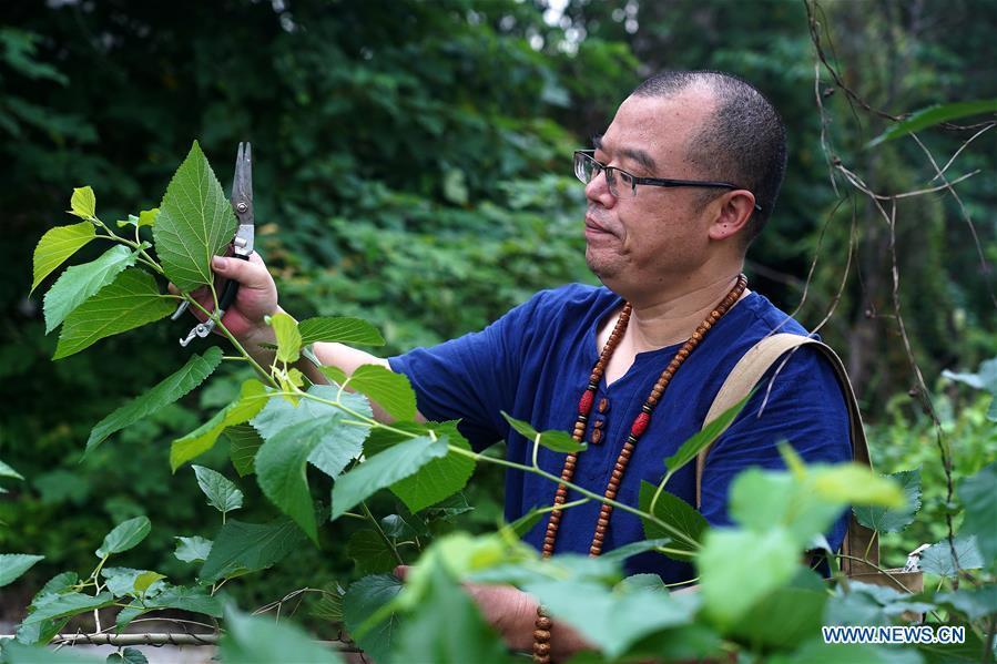 组图匠人伍映山与无双木叶盏的故事