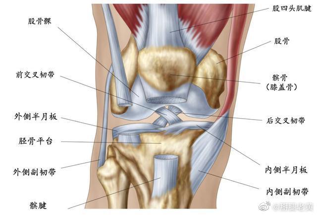 在很多病例中,前交叉韧带的损伤会导致半月板的撕裂掰腿老黄 2020-06
