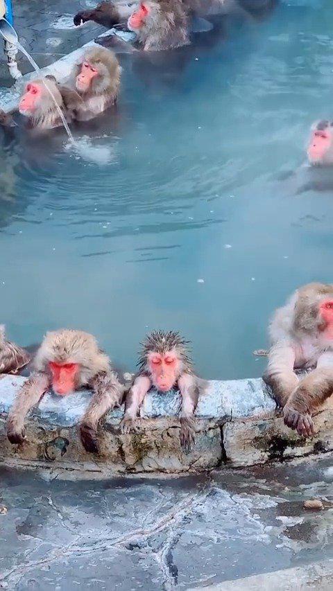 这泡澡是巴适的很,表情出卖了一切