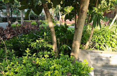 用視頻記錄美好,魔爪Mini-S雲台給生活添點料_新浪眾測
