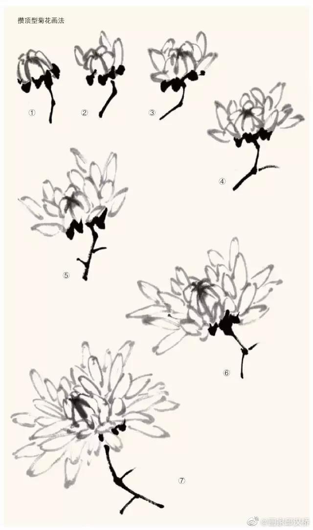 国画菊花的画法