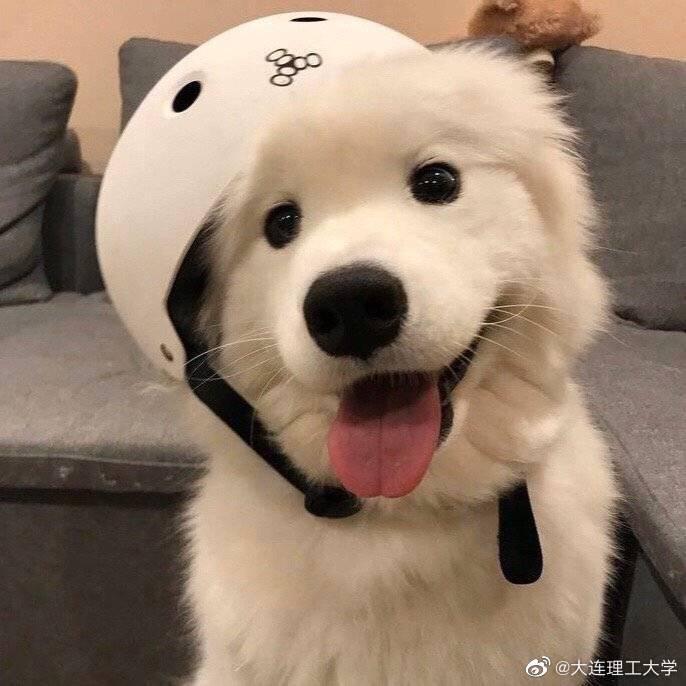 用emoji描述你的专业,大家一起猜猜吧