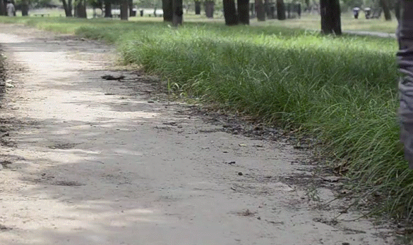 腳踩大地,如履平地:斯立德S204大地徒步鞋_新浪眾測