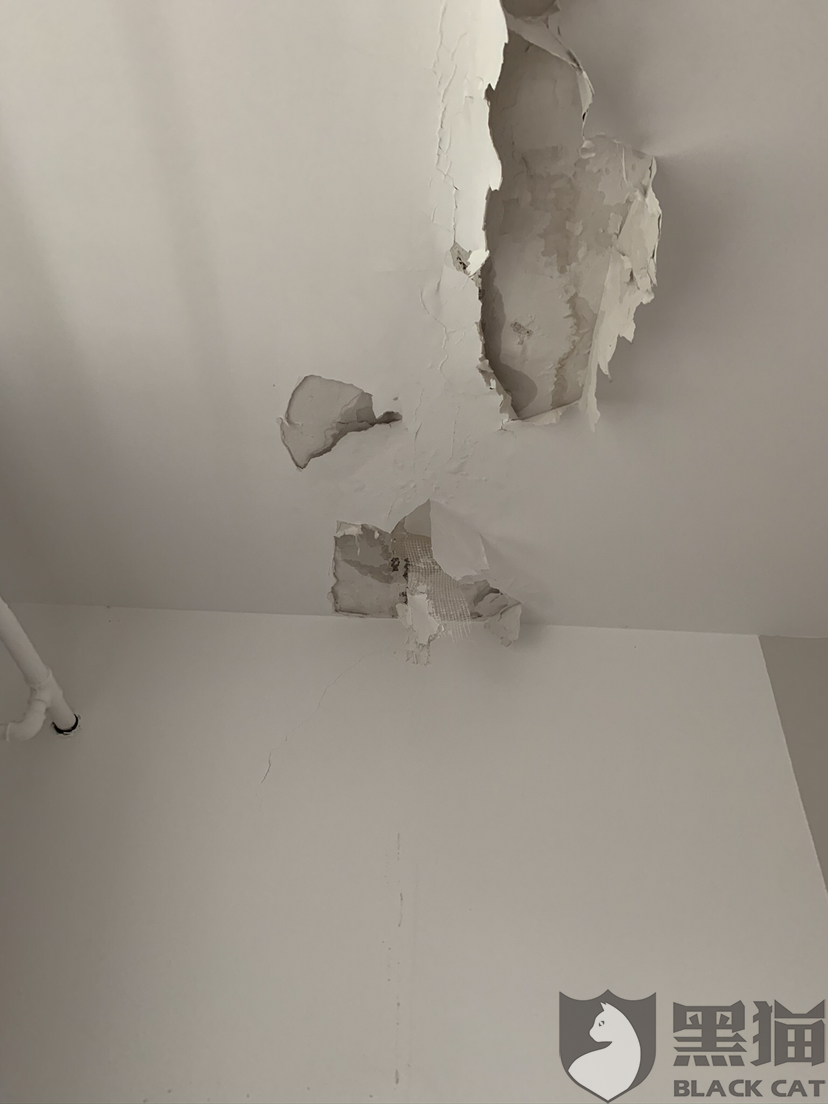黑猫投诉:自如的房子漏水