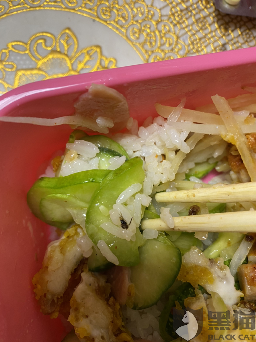 关于饿了么客服人工电话多少_饿了么的人工客服电话介绍的信息