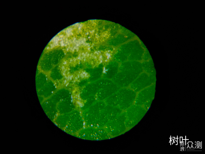 120x无极变倍星特朗显微镜探索微观世界