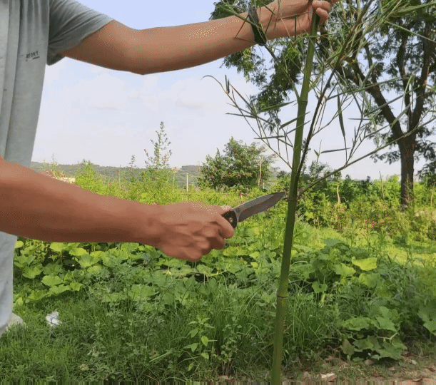 納拓KLECKER快開折刀,把玩精品,叢林收割者_新浪眾測