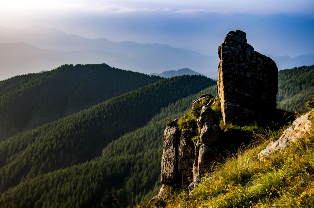 爱上内蒙古|走进乌兰察布苏木山 畅快"森"呼吸_新浪内蒙古_新浪网