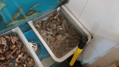 如何優雅的在海邊涮火鍋:百克龍戶外電源上手_新浪眾測