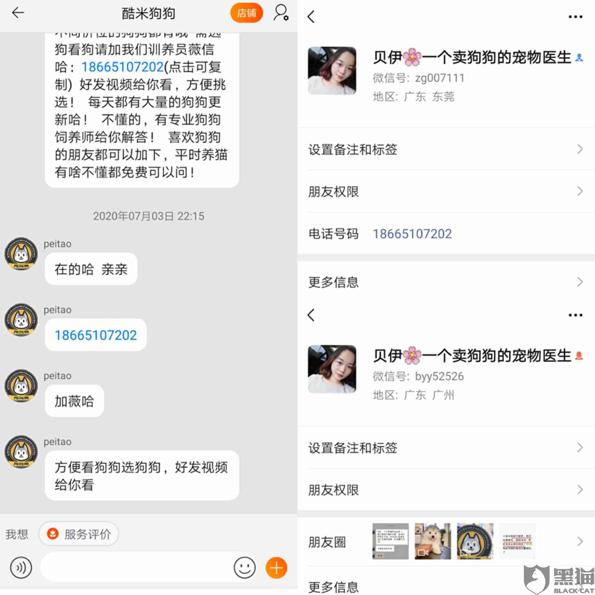 黑猫投诉:投诉"酷米狗狗"之前叫"狗狗毒",专卖病狗,说给换狗后来干脆