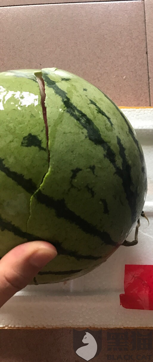 已经变质发臭的西瓜 农村人第一次收到坏果 不懂底单和水果一起拍照