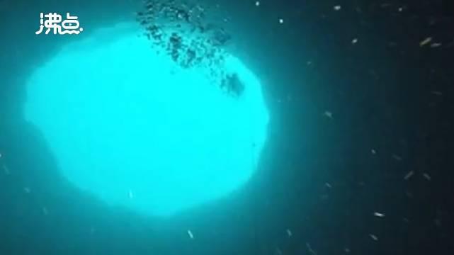 潜水员在墨西哥湾发现海底蓝洞 像海洋中的绿洲吸引生物