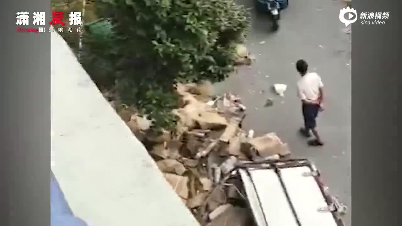 素质掉了一地！货车遇事故#10吨猪肉遭哄抢只剩3吨# 车主：连车门都没放...