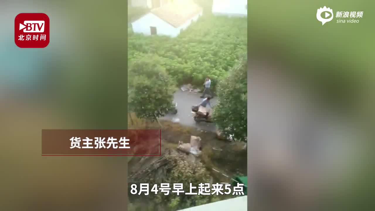 货车遇车祸7吨猪肉遭哄抢 货主损失近30万元
