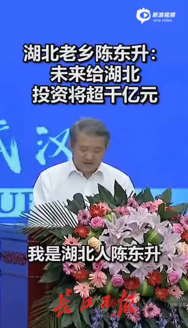 泰康保险董事长陈东升为“知名民企湖北行”助力