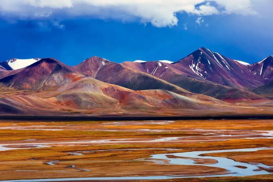 真实的可可西里无人区究竟有多可怕 手机新浪网