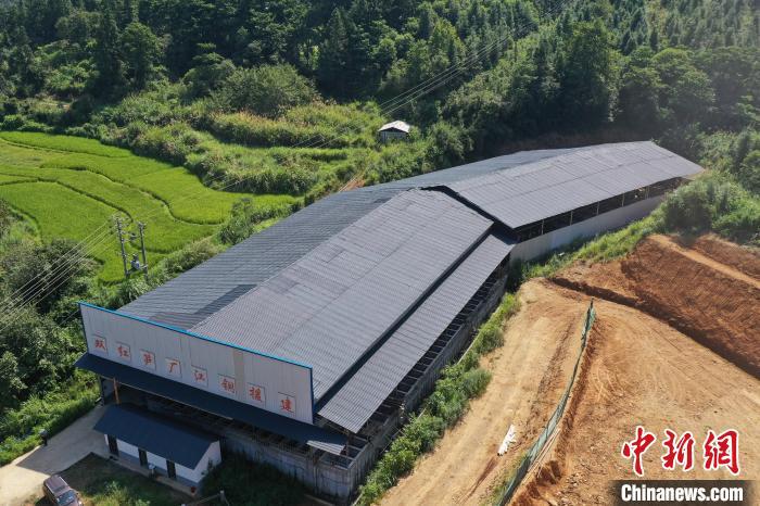 刘占昆 摄为此,笋厂二期项目即将启动,双红村将沿着推动竹笋深加工的 