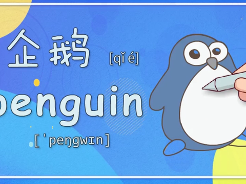 亲子英语绘画:真羡慕动物园的企鹅,住在空调房里面