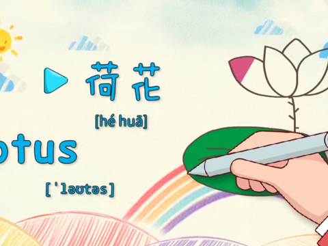 亲子英语绘画:公园里得荷花好漂亮,你知道英语怎么读吗?