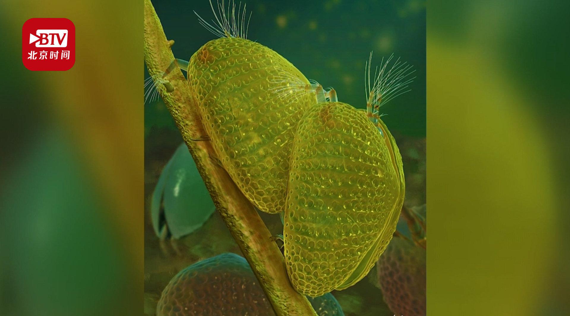 空气污染竟能 扼杀 精子 男性精子数40年已骤减50 论文 精子 新浪科技 新浪网