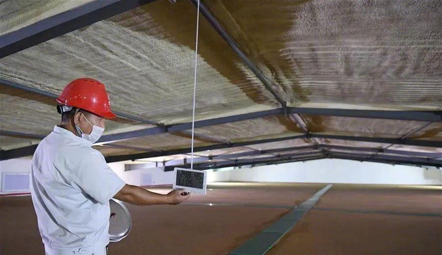 △ 7月15日，在中储粮新港直属库，工作人员在平房仓粮库中查看温湿度计