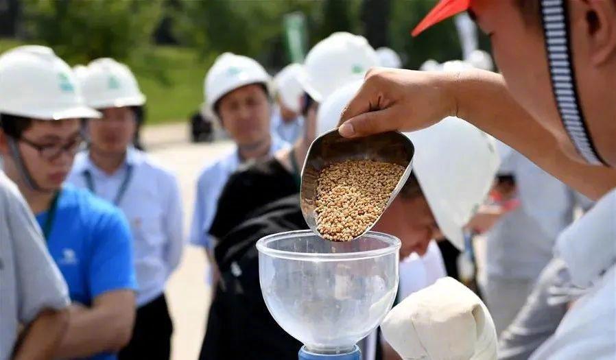 △中储粮质检人员展示粮食卫生指标检测过程