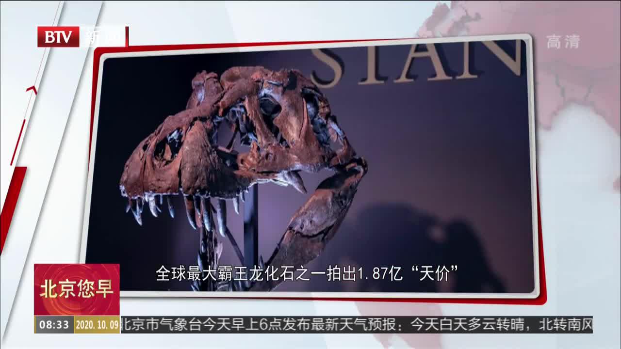 全球最大霸王龙化石之一拍出1.87亿“天价”