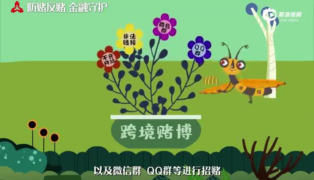 遇到这些跨境赌博组织平台 务必及时举报！(视频)