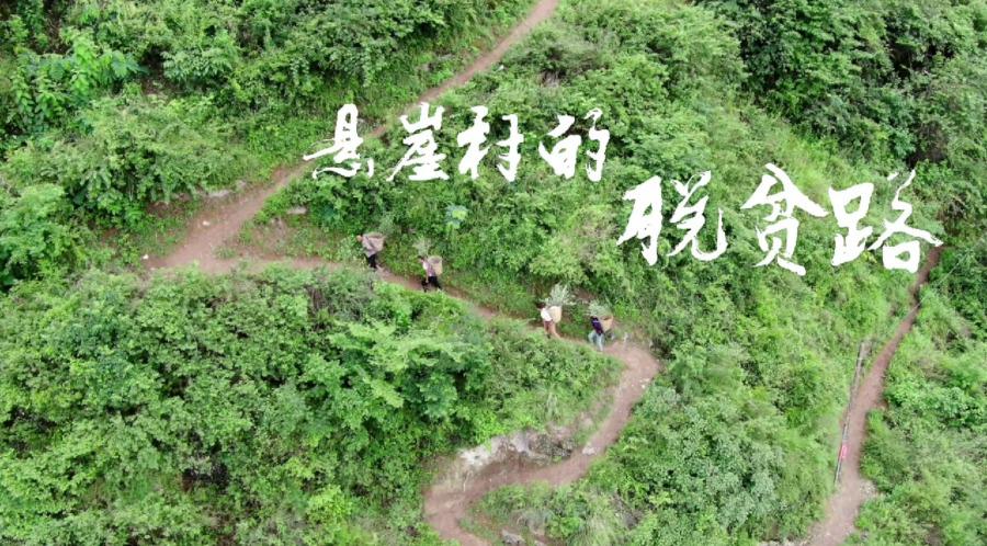 "小康中国"公益影像大赛视频类获奖作品《悬崖村的脱贫路》