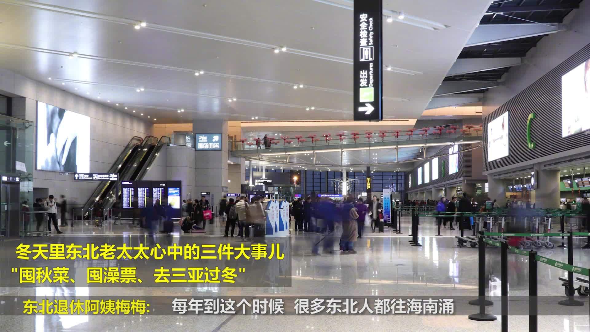 三亚机票囤货量东北最高 2小时囤满100架飞机