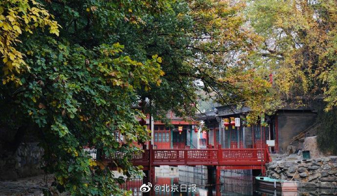 北京日报|颐和园延迟清扫打造落叶景观