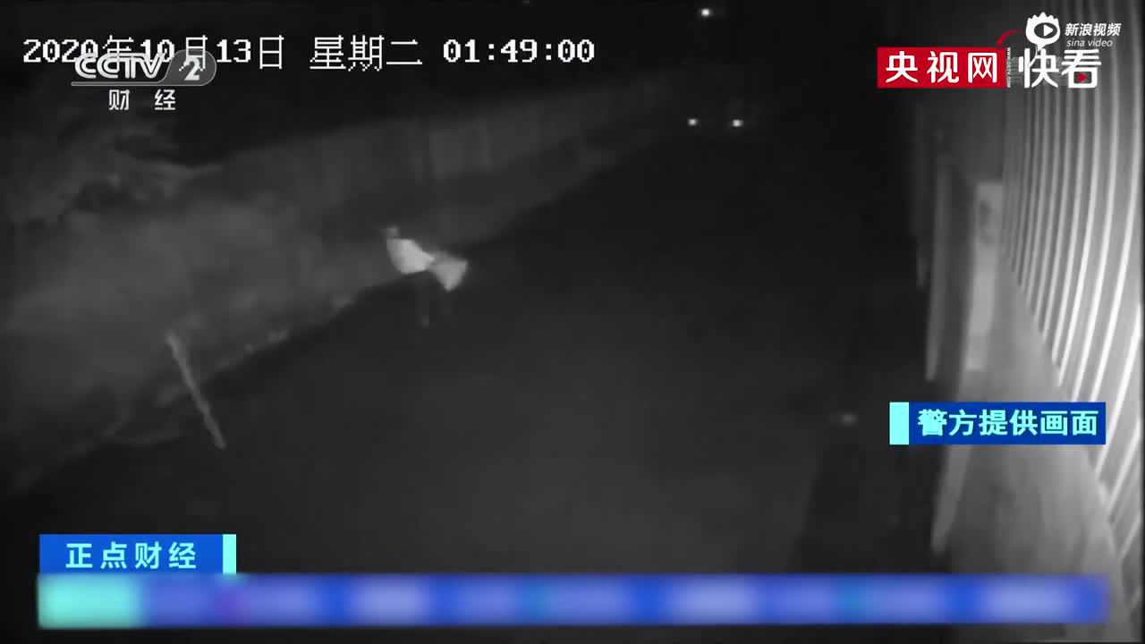 视频|男子为打赏女主播5天偷2000斤魔芋 赃款达5000余元