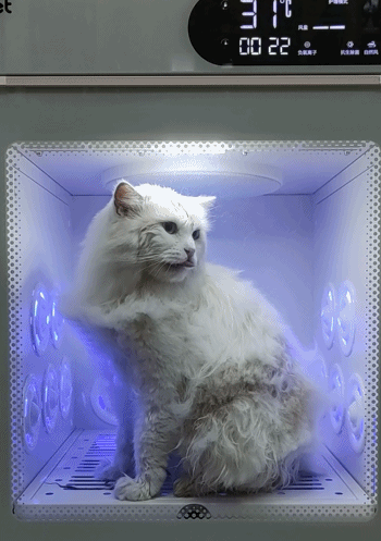 Jirpet全自動寵物烘乾箱,主子成為最亮喵星人_新浪眾測