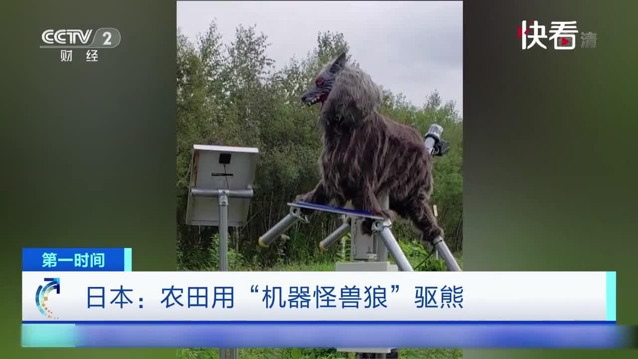 熊都吓跑了!日本机器"怪兽狼"矗立田间