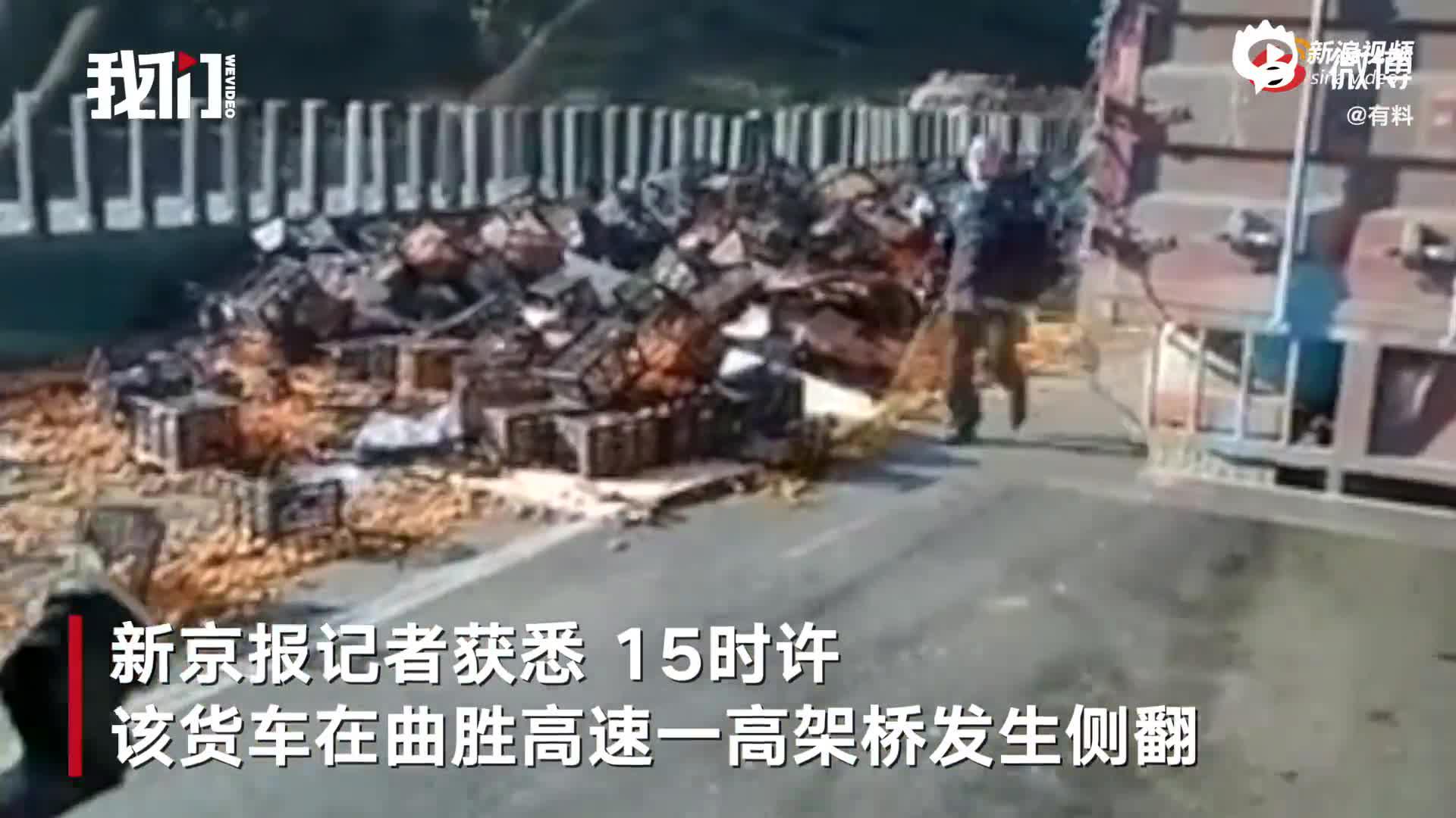 云南一货车侧翻10吨桔子被人搬走 有人装走9袋