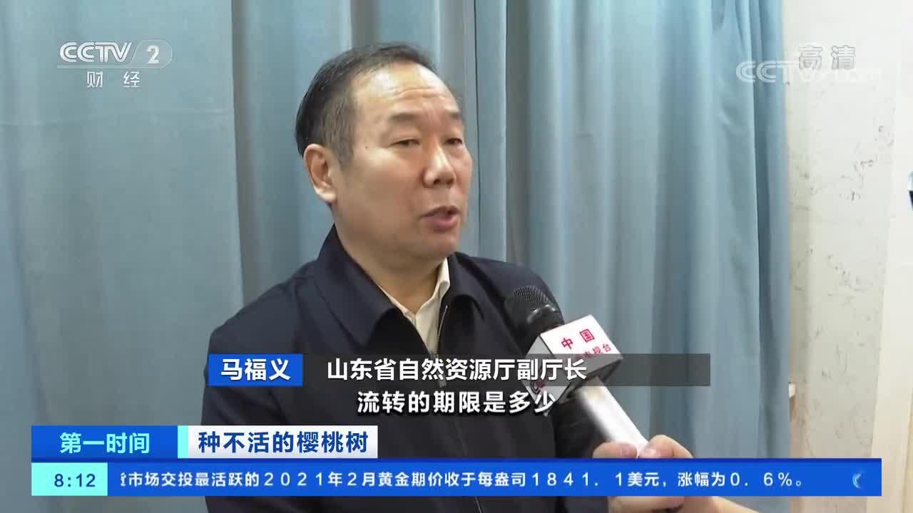 山东省成立联合调查组对冠县种植樱桃问题展开调查